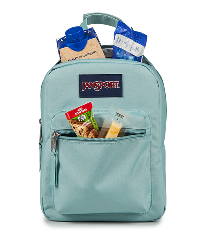 Big Break Lunch Bag - Faded Sage